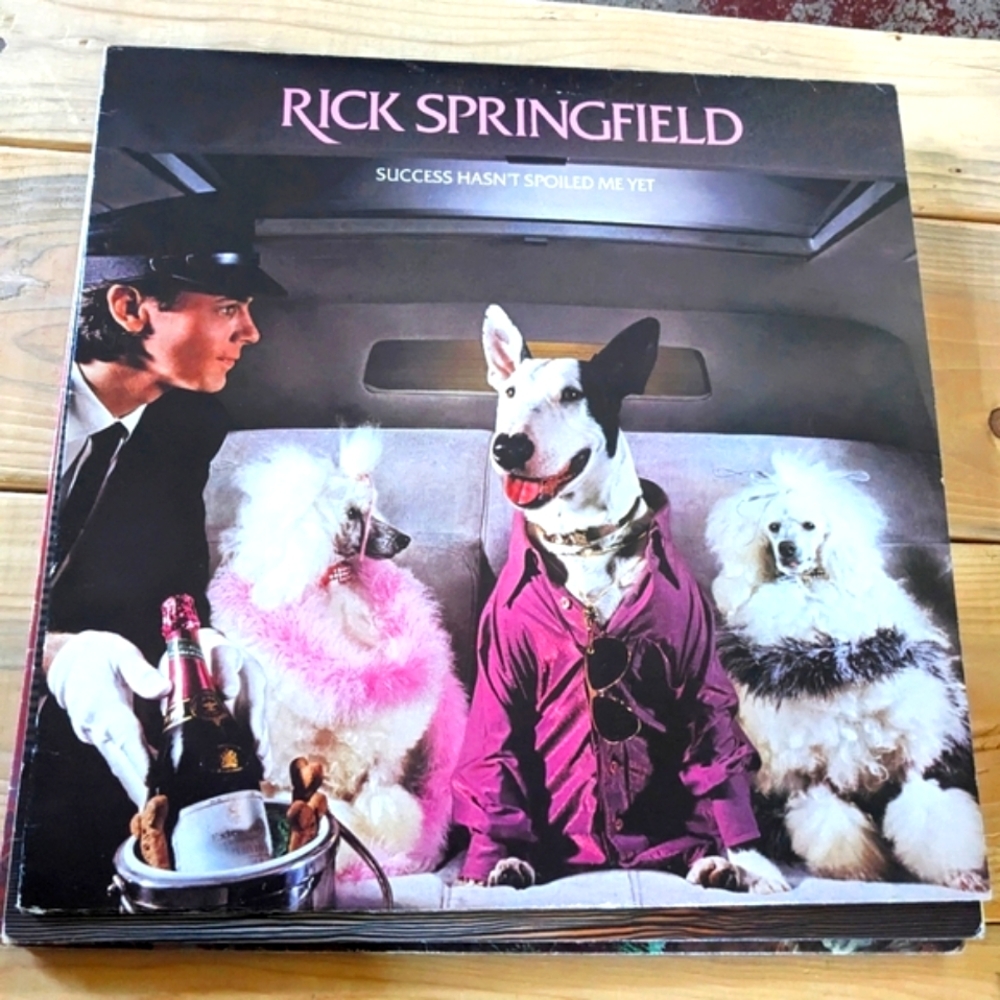 Vintage LP • Rick Springfield Success Hasn't Spoiled Me Yet • RCA Vinyl Record